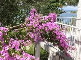 Appartamenti Španjol