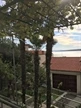 Appartamenti Berulia
