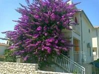Appartamenti Bugevila