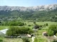 Appartamenti Španjol