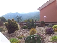 Appartamenti Villa Mirjana