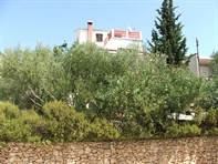 Appartamenti Vila Maslina