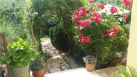 Appartamenti Vila Arboretum