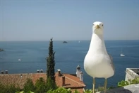 Appartamenti Domina