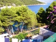 Appartamenti Zen Punta