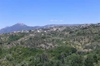 Appartamenti Musini Dvori