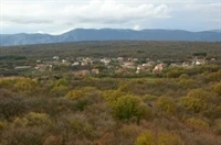 Bajčić