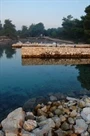 Molat - Brgulje