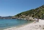 Brsečine