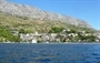 Čelina