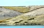 Dinjiška