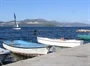 Drače