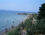 Duće