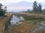 Gračac