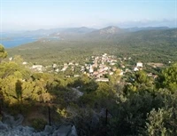 Janjina
