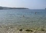 Lozica