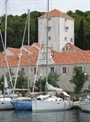 Šolta - Maslinica