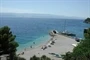 Medići