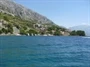 Medići
