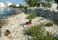 Brač - Mirca