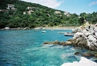 Molunat