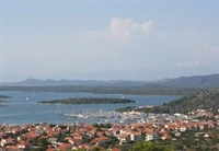 Murter