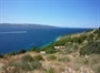 Brač - Murvica