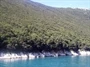 Nedešćina