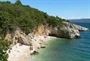 Nedešćina