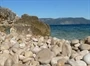 Nedešćina