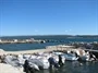 Pašman - Neviđane