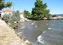 Pašman - Neviđane