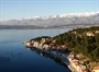 Novigrad