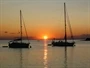 Novigrad