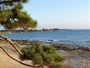 Novigrad