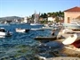 Oštrička Luka