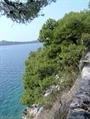 Oštrička Luka