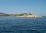 Otok Žut