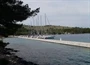 Otok Žut