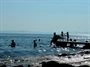 Petrčane - Punta Skala