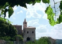 Plomin