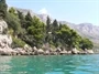 Podaca