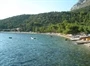 Podaca