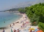 Podgora