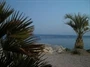 Podstrana
