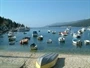 Rabac