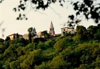 Roč