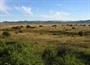 Rudanovac