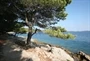 Dugi Otok - Sali
