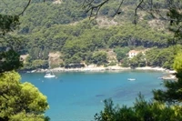 Mljet - Saplunara